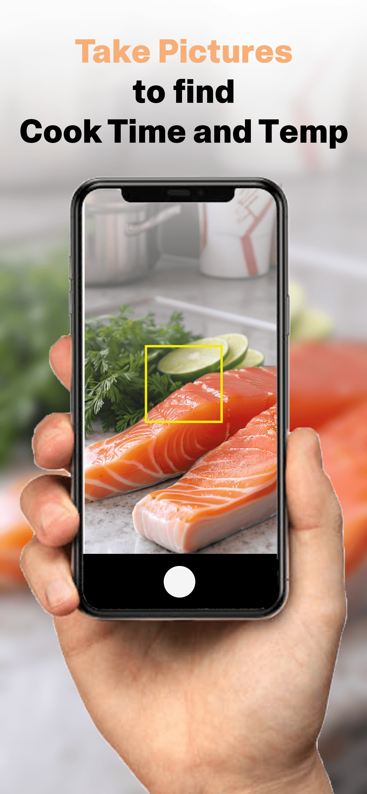 Take pictures to find cook time and temp